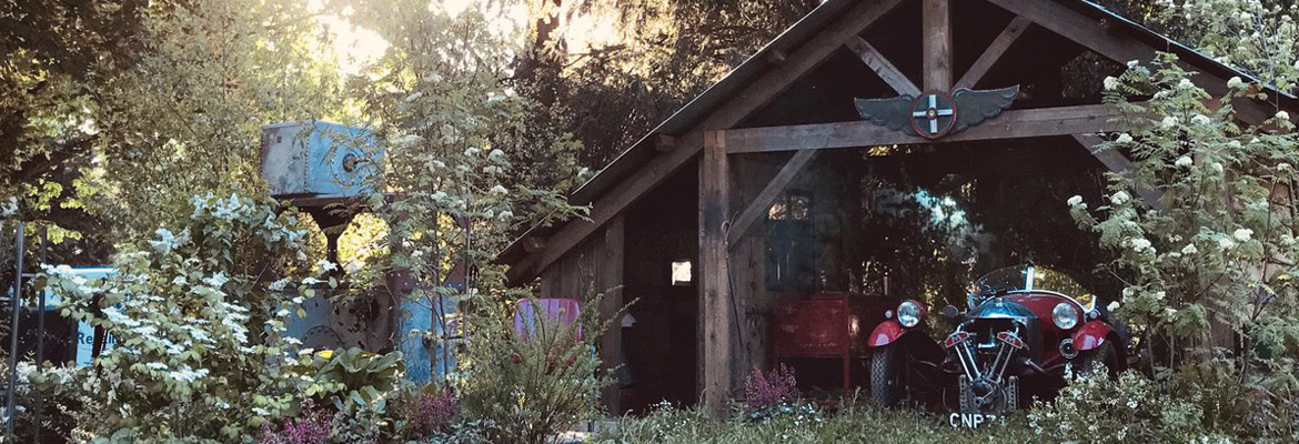 photo of a garden